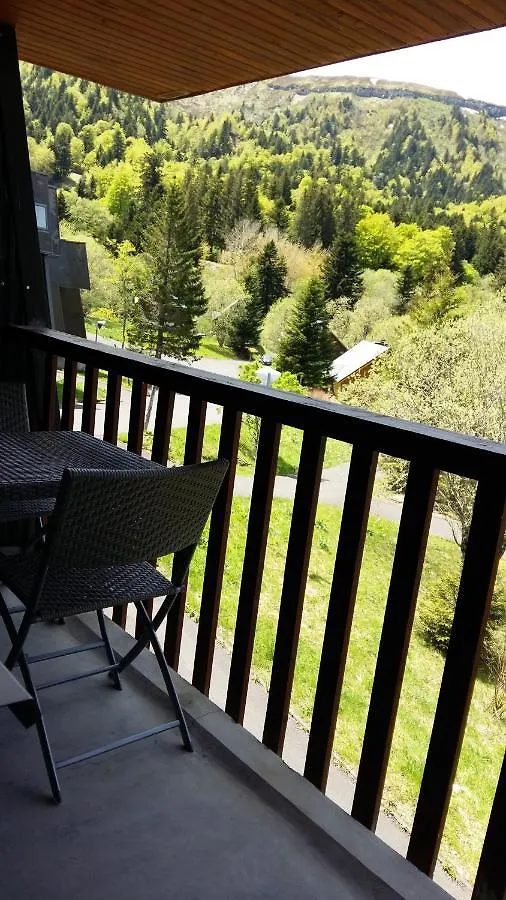 Appartement Avec Balcon Au Mont Dore Apartment