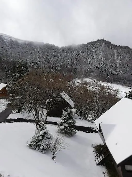 Appartement Avec Balcon Au Mont Dore